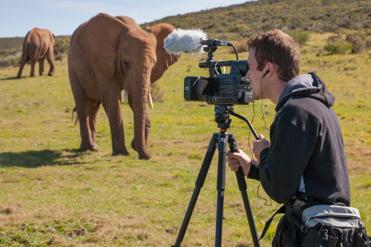 produzindo documentário